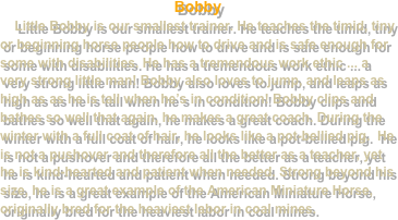 Bobby
    Little Bobby is our smallest trainer. He teaches the timid, tiny or beginning horse people how to drive and is safe enough for some with disabilities. He has a tremendous work ethic ... a very strong little man! Bobby also loves to jump, and leaps as high as as he is tall when he’s in condition! Bobby clips and bathes so well that again, he makes a great coach. During the winter with a full coat of hair, he looks like a pot-bellied pig.  He is not a pushover and therefore all the better as a teacher, yet he is kind-hearted and patient when needed. Strong beyond his size, he is a great example of the American Miniature Horse, originally bred for the heaviest labor in coal mines.